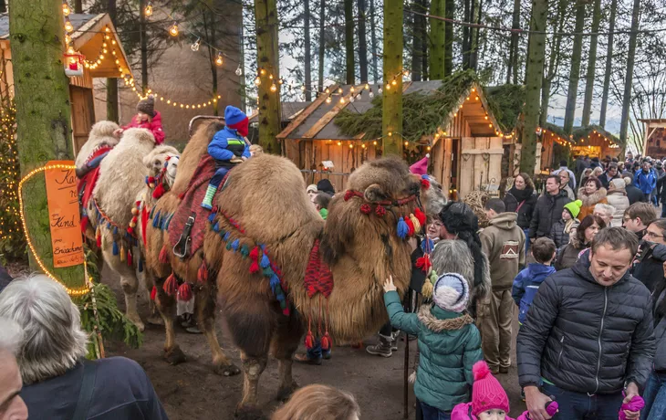 Schloss Guteneck, Weihnachtsmarkt