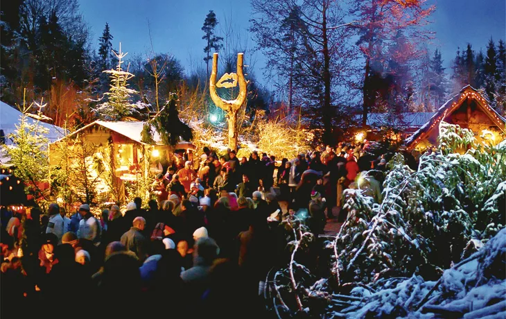 Waldweihnacht in Halsbach