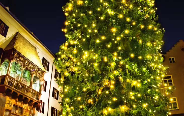 Weihnachtsbaum in Innsbruck, Österreich