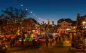 Rüdesheim - 2 Tage - Advent - 2024