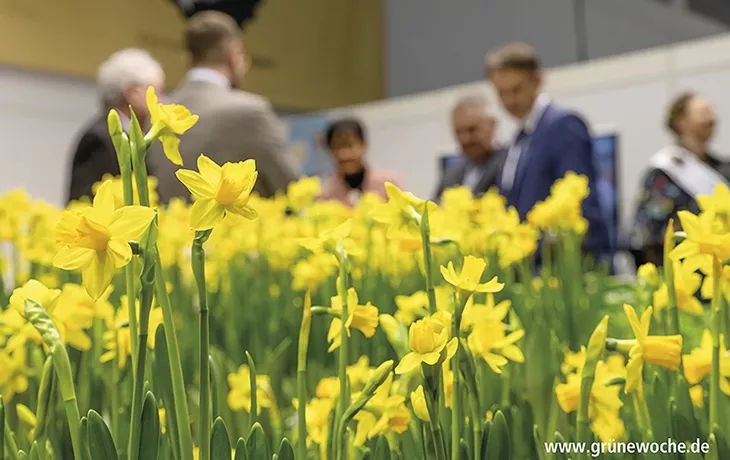 Berlin, Grüne Woche, Garten-Haus-Hof