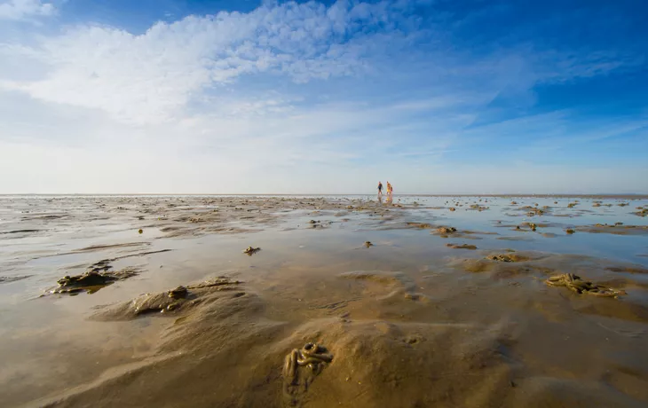 Weites Wattenmeer bei Ebbe vor der Insel Föhr