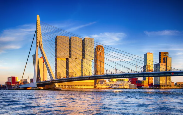 Erasmusbrücke in Rotterdam in den Niederlanden