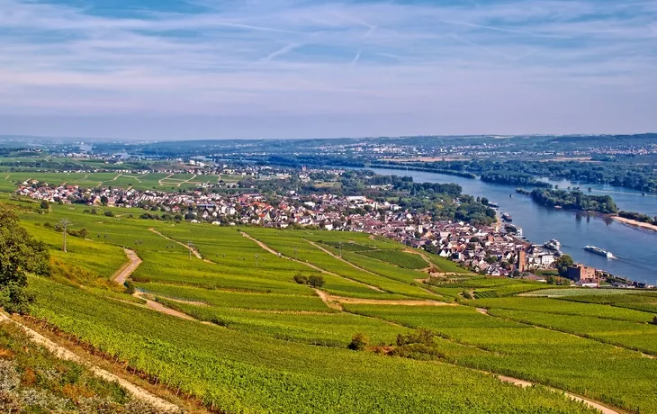 Rüdesheim am Rhein mit Weinbergen