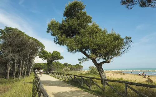 Radweg bei Bibione