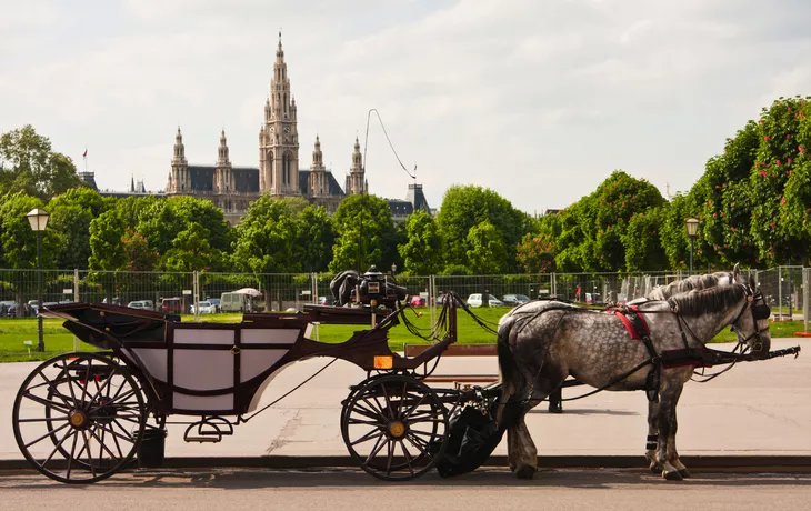 Fiaker vor dem Wiener Rathaus