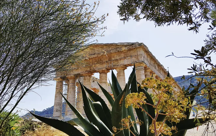 Tempel von Segesta