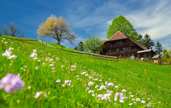 Emmental in der Schweiz