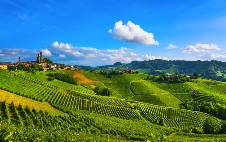 Weinberge in der Langhe