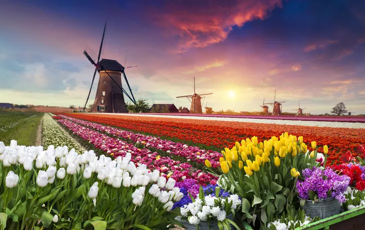 Zaanse Schans