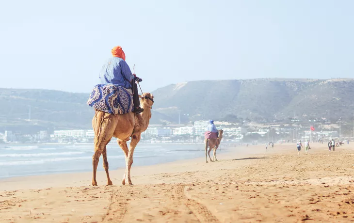 Beduine reitet auf einem Kamel am Hauptstrand von Agadir