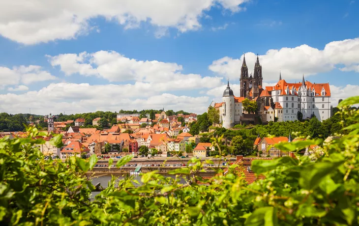 Dom und Albrechtsburg in Meißen an der Elbe im Sommer, Deutschland