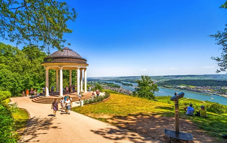 Blick vom Niederwalddenkmal in Rüdesheim