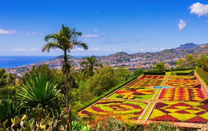 Madeira Botanical Garden