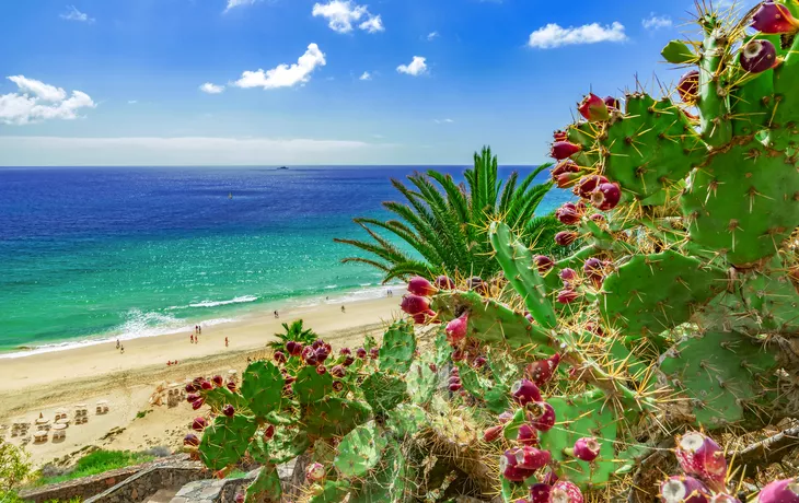 Fuerteventura