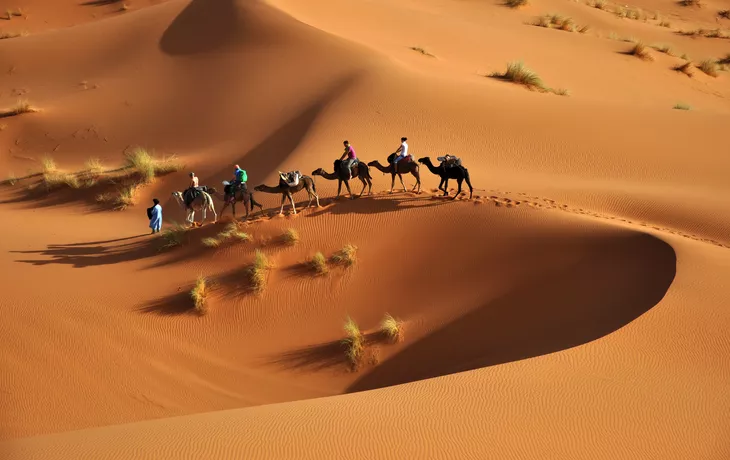 Kamelkarawane in der Sahara, Marokko