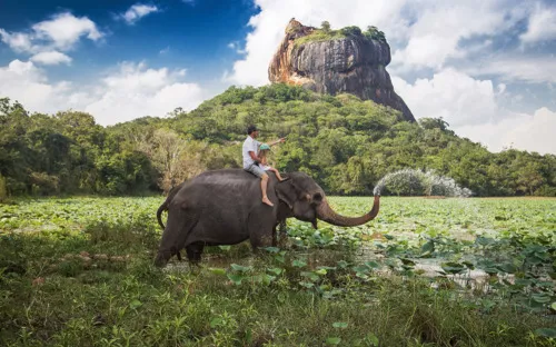 Begegnung mit Elephanten