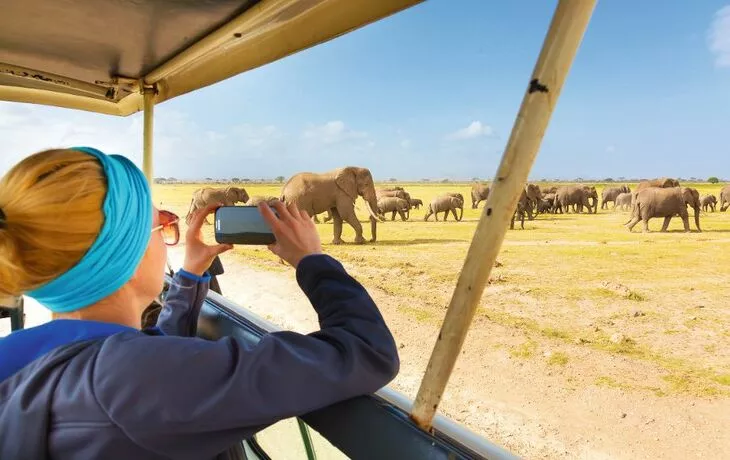 Frau, die auf afrikanische Tiersafari.