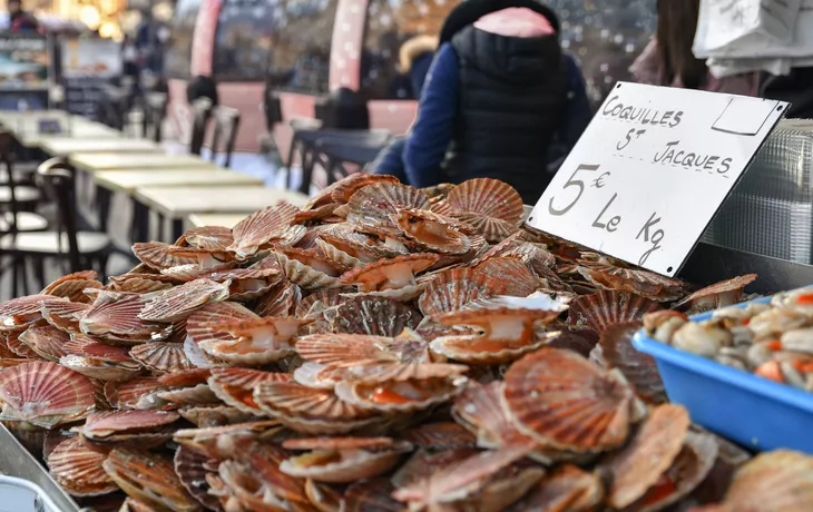 Frische Jakobsmuscheln auf einem Fischmarkt in Dieppe, Frankreich