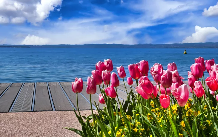 Frühling am Gardasee