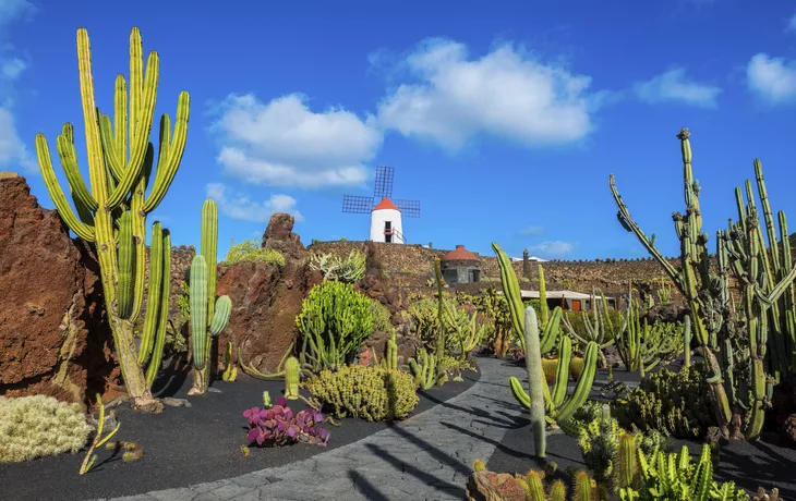 Lanzarote, Kaktusgarten