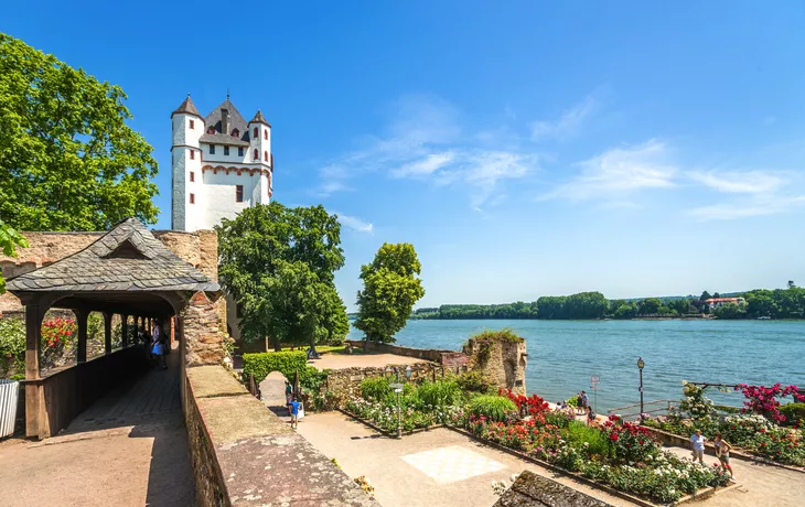 Burg Eltville am Rhein