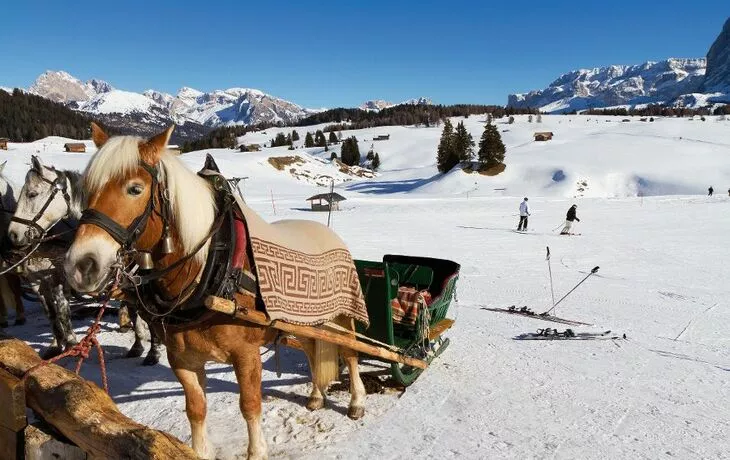 Pferdeschlitten auf der Seisser Alm