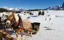 Superski Dolomiti spezial - Dolomiten Ski - Winterspass - 5 Tage - 2025