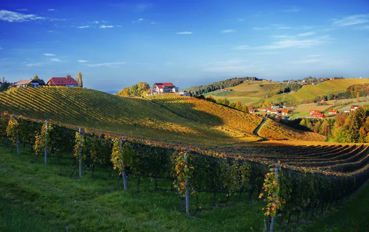 Weinberge in der Steiermark