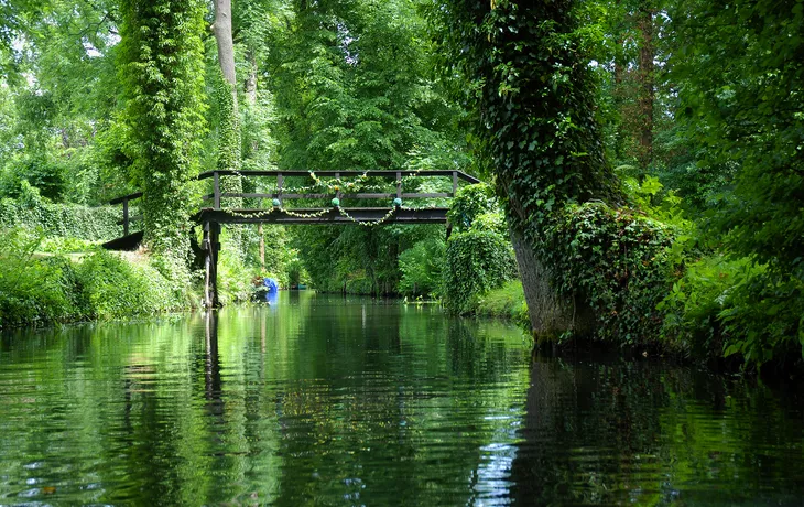 Spreewald im Sommer