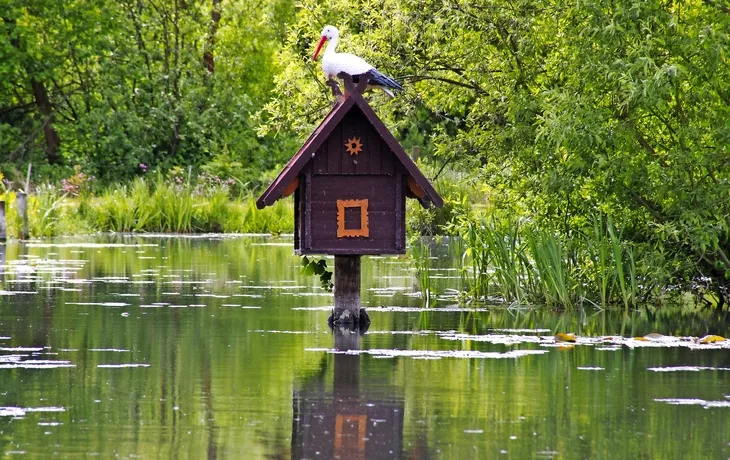 Kahnfahrt im Spreewald, Deutschland