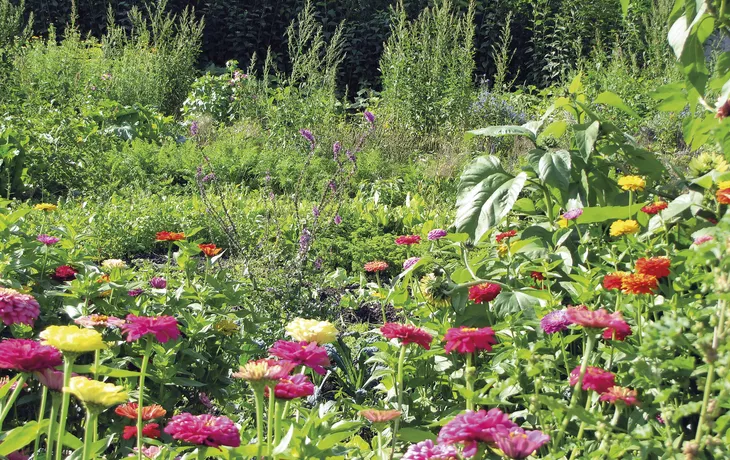 Steinschalerhof Produktionsgarten