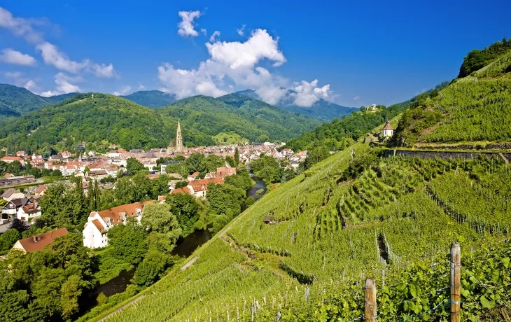 Grand Cru Weinberg, Thann, Elsass, Frankreich