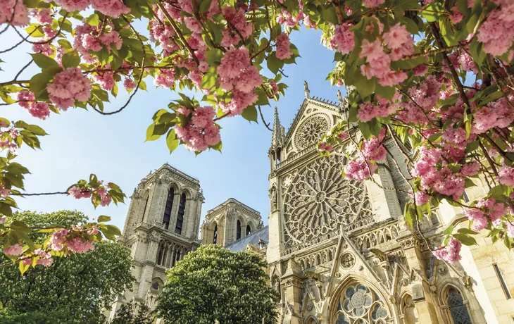 Notre-Dame im Frühling