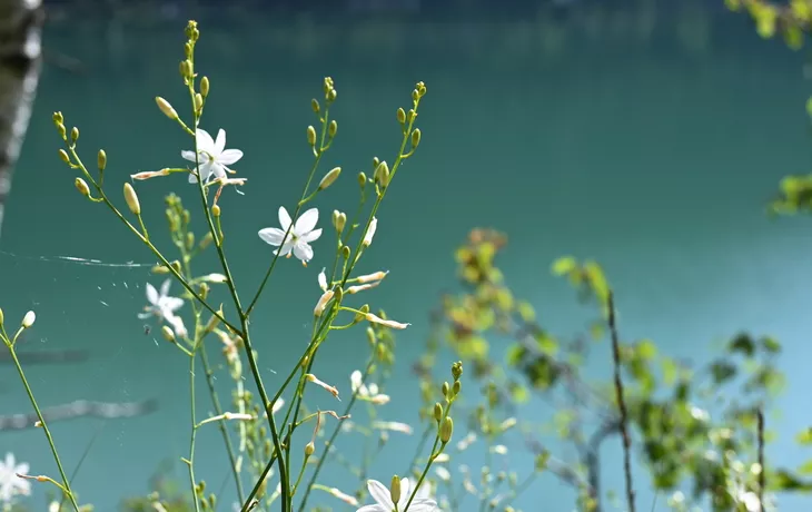 Mariensteig am Achensee bei Achenkirch in Tirol