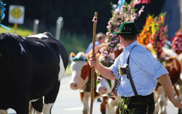 Almabtrieb in Bayern