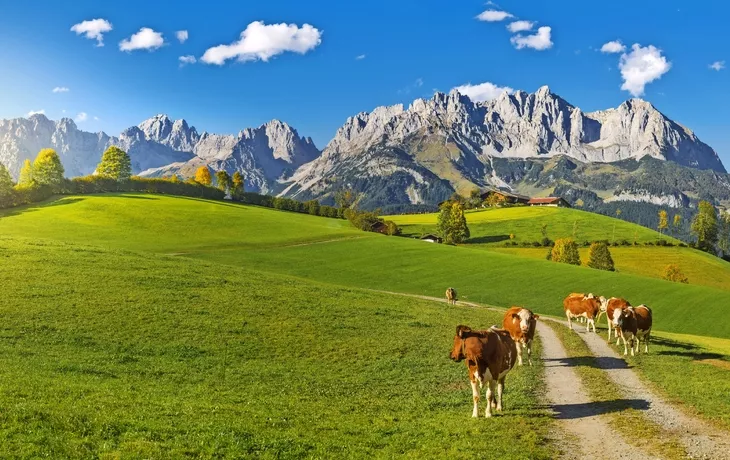 Herbststimmung am Wilden Kaiser