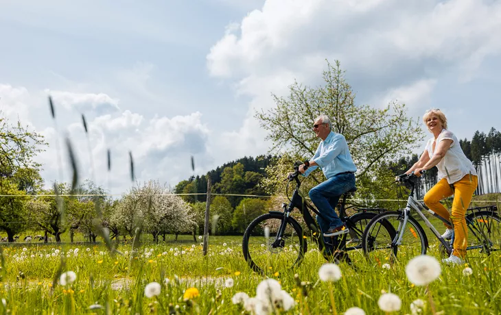 Fahrrad in der Wiese