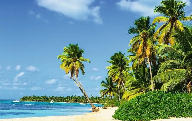 Paexotischer Sandstrand mit hohen Palmen