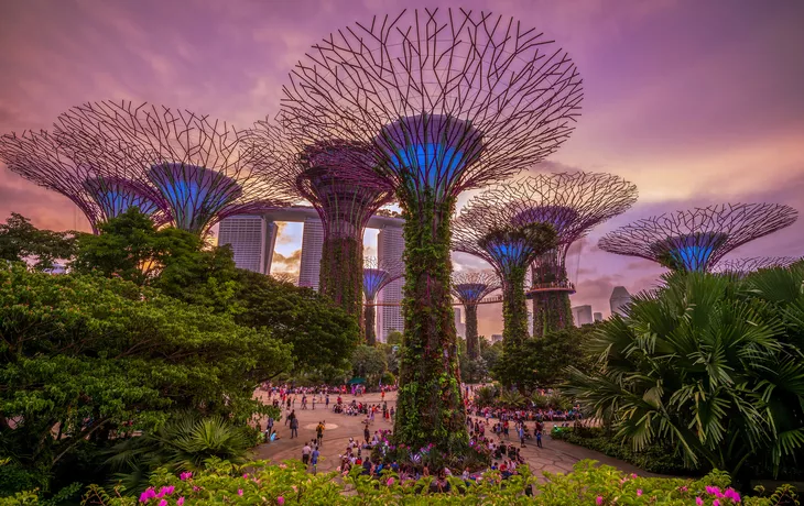 Gardens by the Bay in Singapur