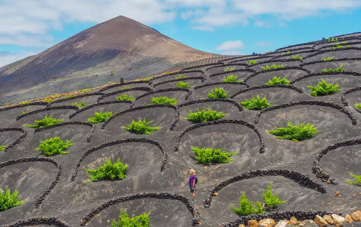 Lanzarote - Wandern zwischen den Weinbergen