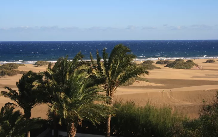 Dünen von Maspalomas