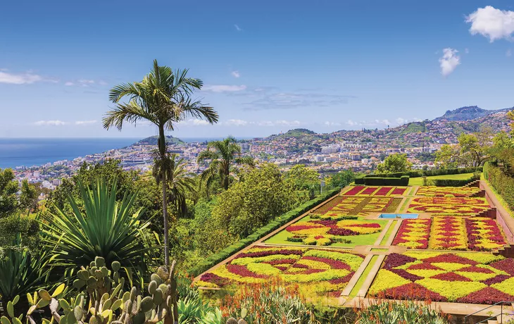 Funchal, Botanischer Garten