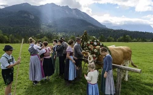 Mittenwald, Almabtrieb